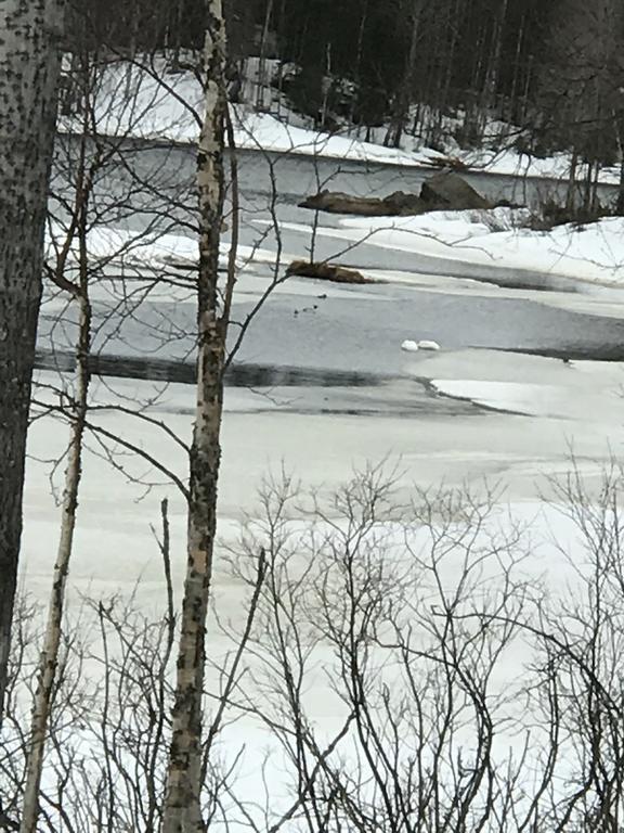 Villa Somosenranta Oikarainen Eksteriør billede